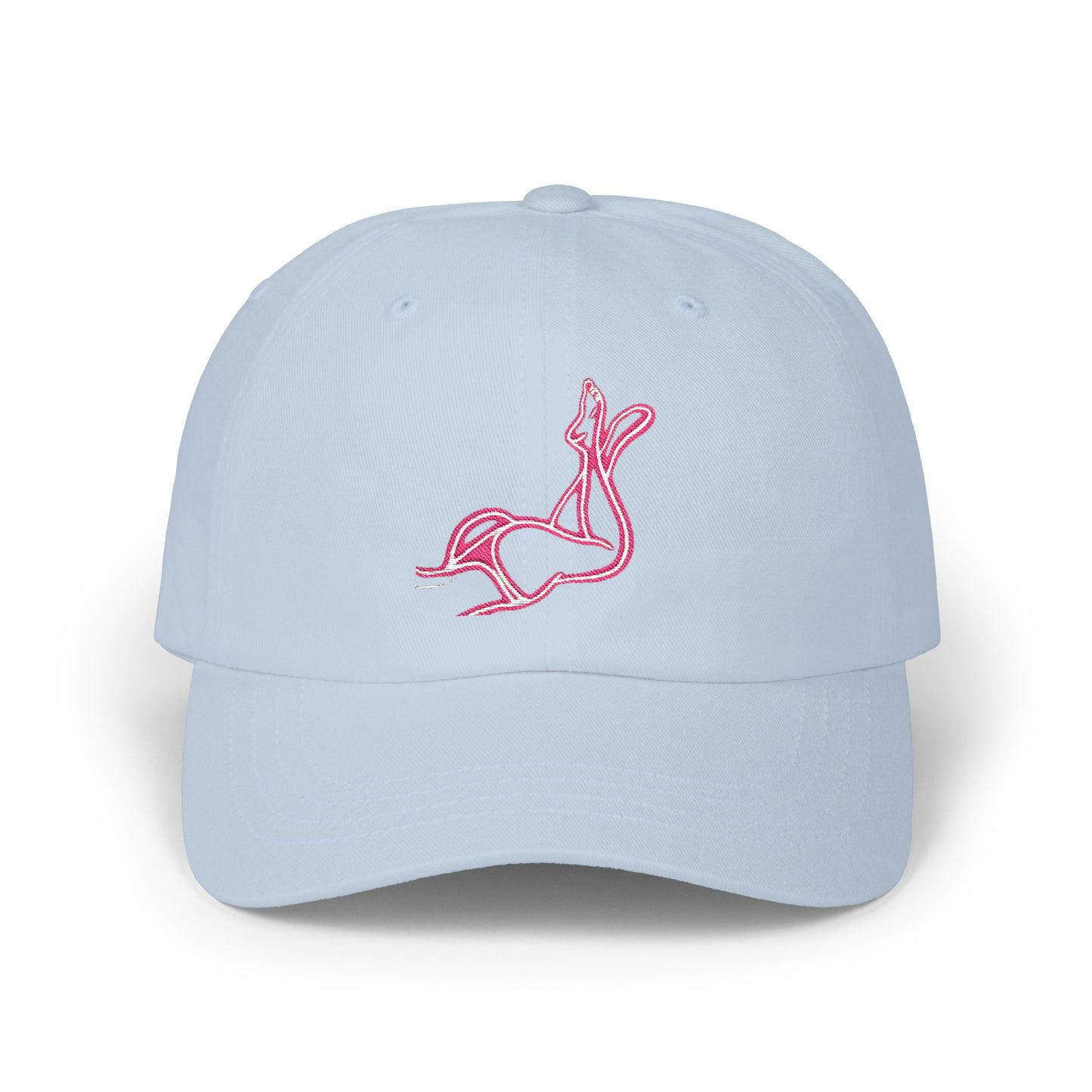 Pink body Embroidery hat